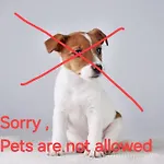 D' *